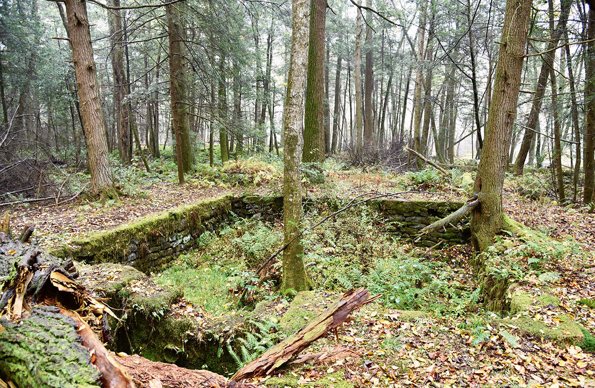 Bath house remnants, Stony Creek Valley PA